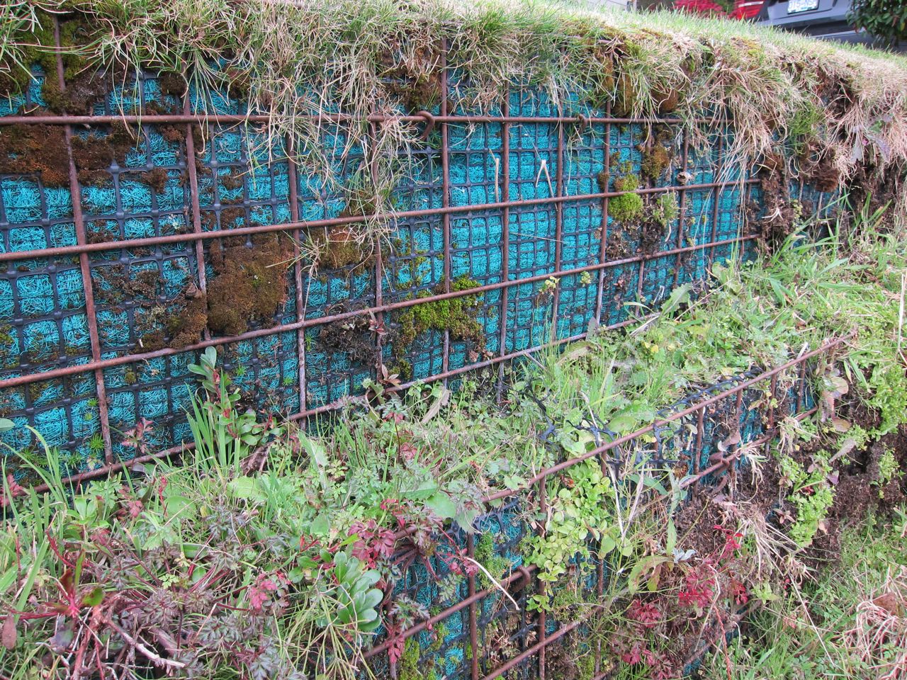 Gabion Baskets compared to the Flex MSE Vegetated Wall System