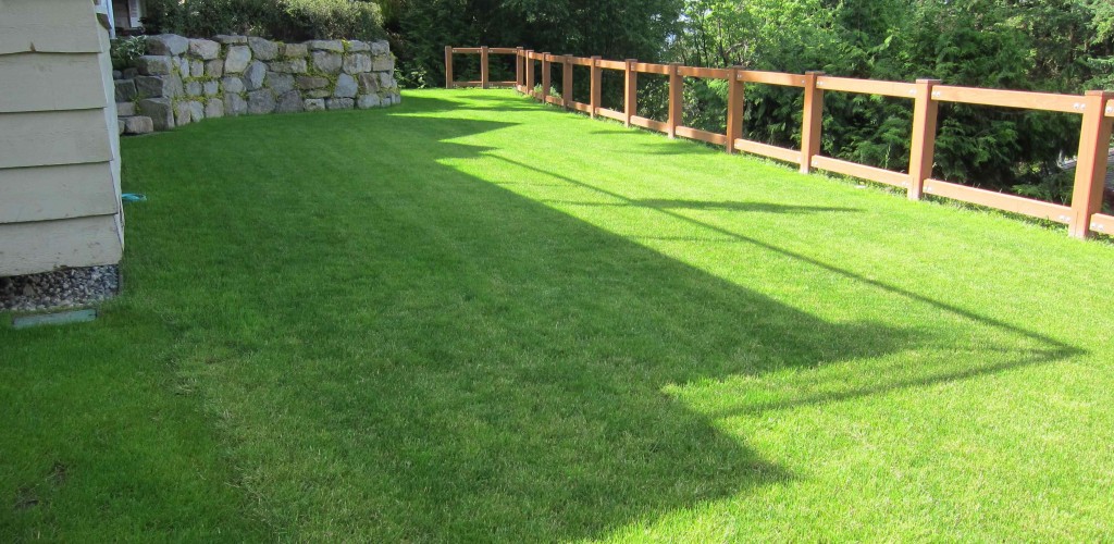 Back yard transformed
