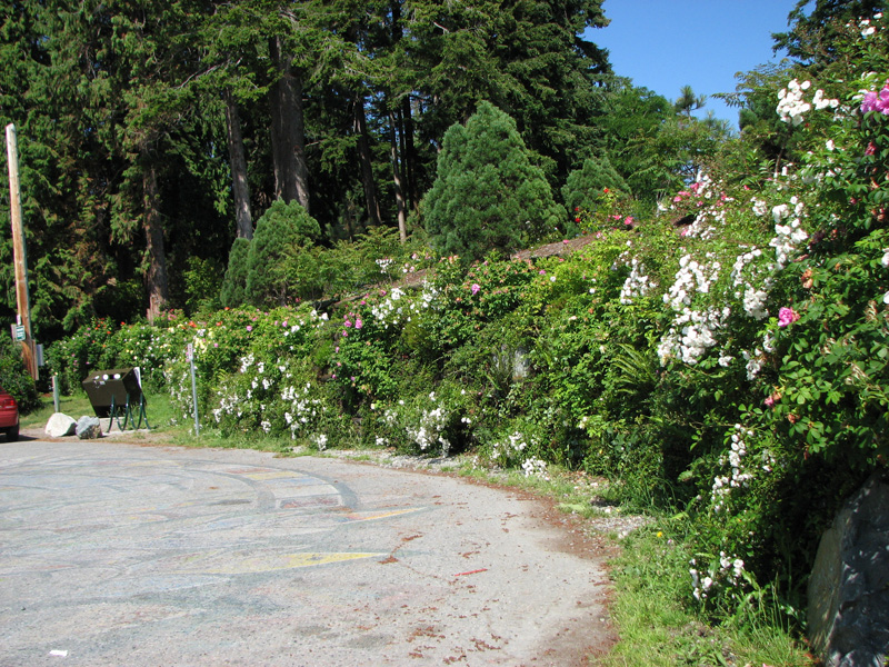Flex Mse An Innovative Flexible Vegetated Wall Solution
