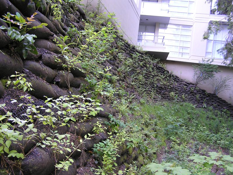 Flex Mse An Innovative Flexible Vegetated Wall Solution