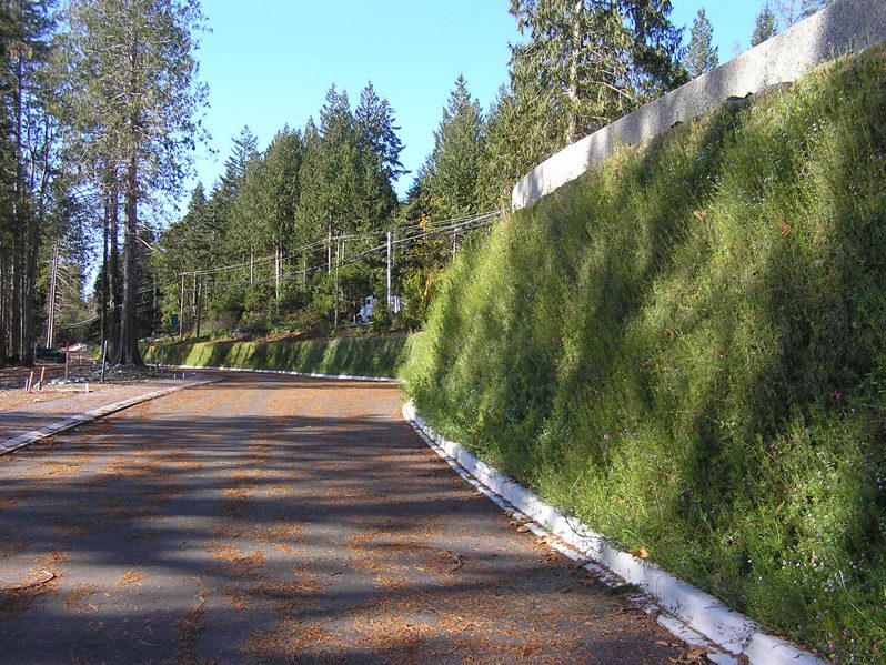 Flex Mse An Innovative Flexible Vegetated Wall Solution
