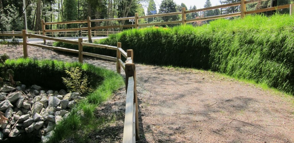 Roadway and Creek Reinforcement